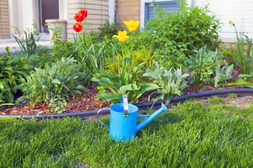 Preparation for landscaping after garden clearance