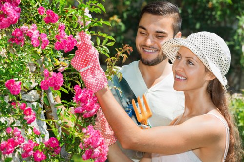 Professional hedge cutting tools and techniques