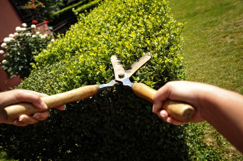 Reusable garden items and green waste prepared for charity donation and recovery