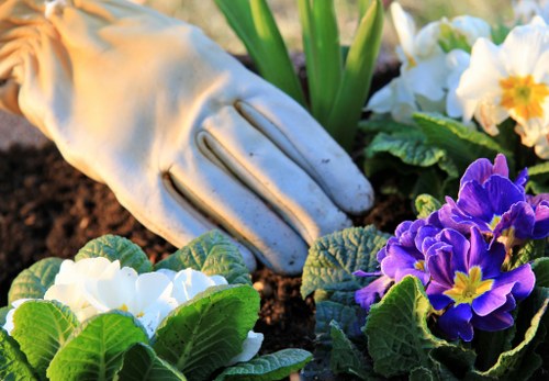 Modern garden planting and outdoor lighting in Parsonsgreen