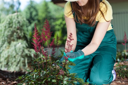 Supervisor checking project notes for a landscaping service issue