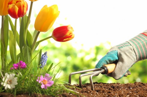 Professional landscaping design ideas for a Parsonsgreen outdoor space