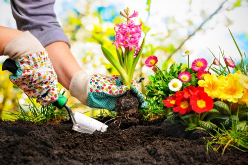 Seasonal garden maintenance in Parsonsgreen with shrubs and planting beds