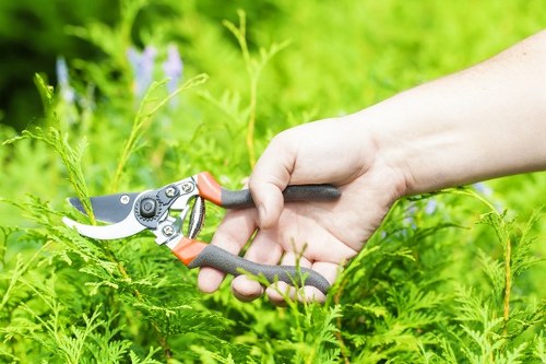 Free quote and van load pricing for local landscaping waste removal