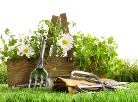 Planning a flower bed layout in a Parsonsgreen garden
