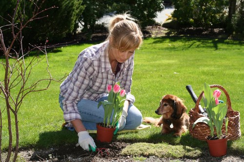 Deck maintenance and repair services in Parsonsgreen