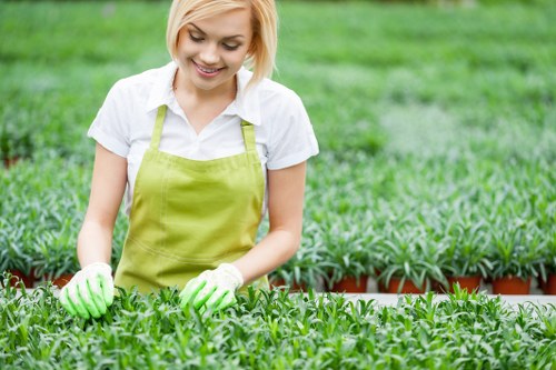 Transparent pricing for mixed garden and rubbish clearance near Parsonsgreen