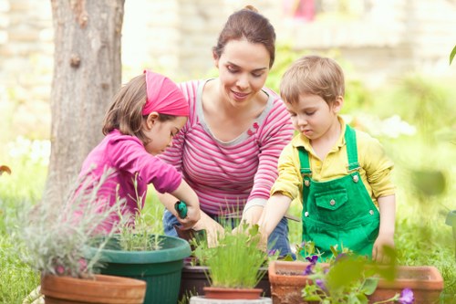 Seasonal lawn care and grass cutting in a Parsonsgreen property