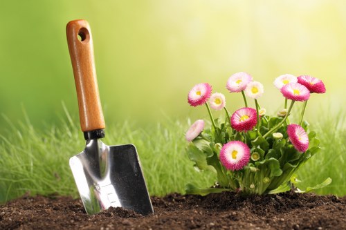 Freshly maintained lawn showing professional lawn care in Parsonsgreen