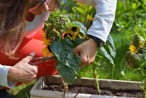 Screen-reader friendly webpage layout for landscaping information